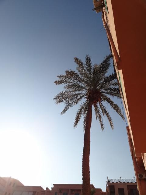 Apartment Twins 12 Marrakesh Exterior foto